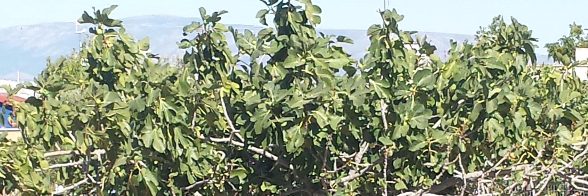 tsabu13's profile banner image