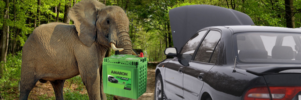 amaronbattery Profile Banner