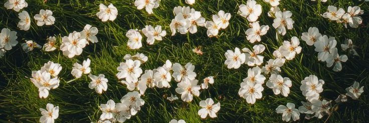 Barbara5465's profile banner image