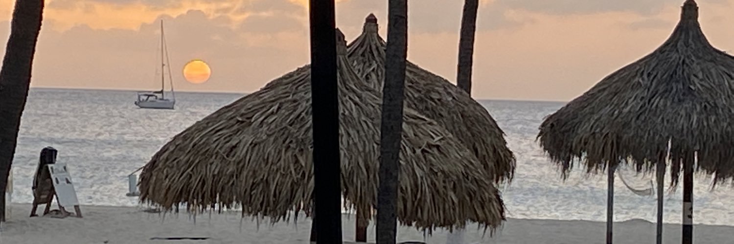 NJDevilRae's profile banner image