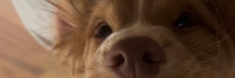 LauraGabb's profile banner image