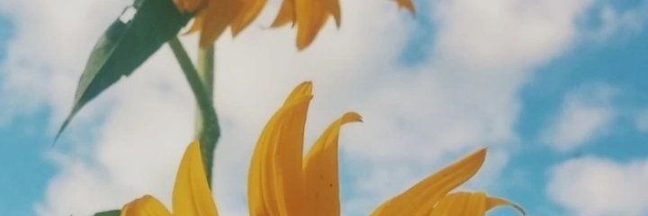 Maviistan's profile banner image
