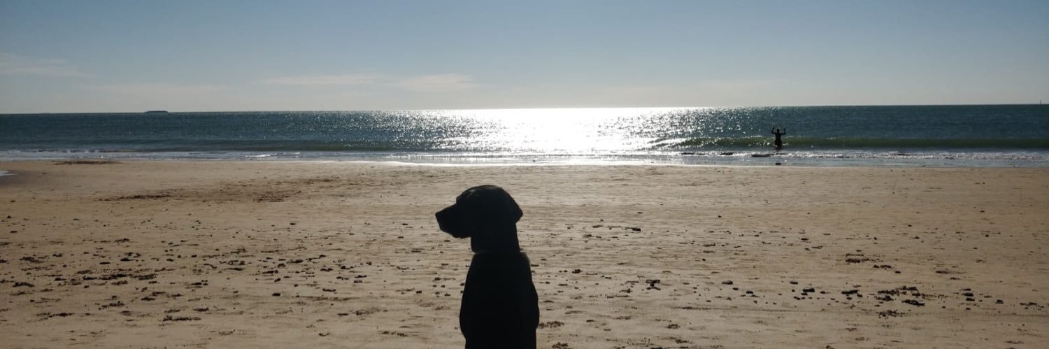 HeyCarmenx's profile banner image