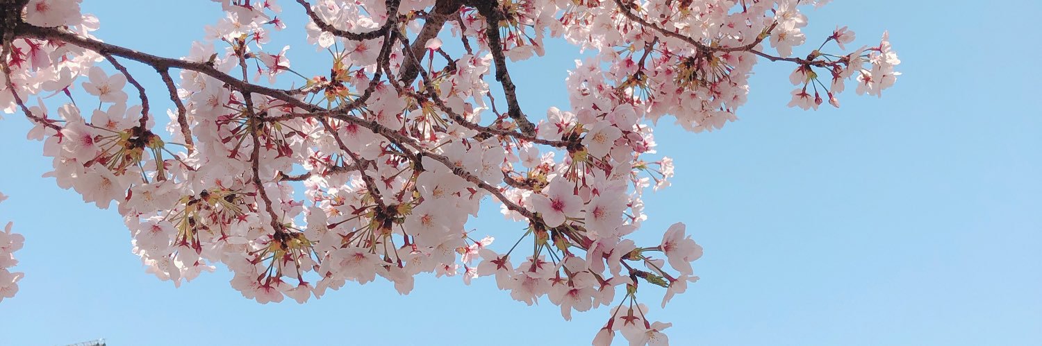 Nyayoing's profile banner image