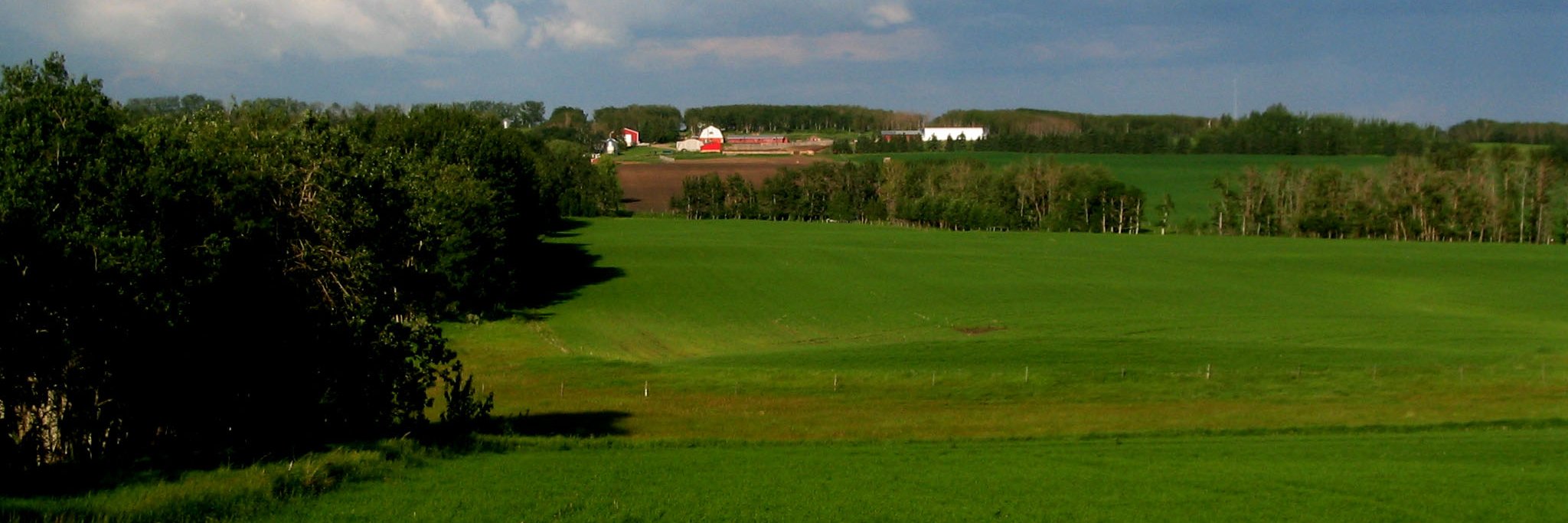 hbilton's profile banner image