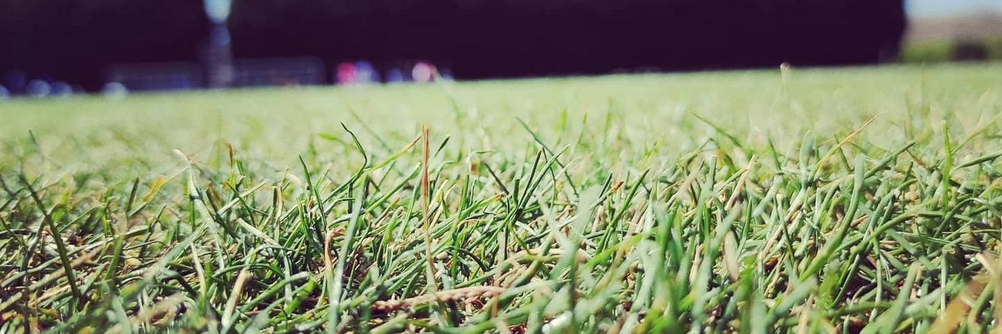 kabiyesi101's profile banner image