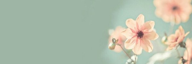 pauli_font's profile banner image