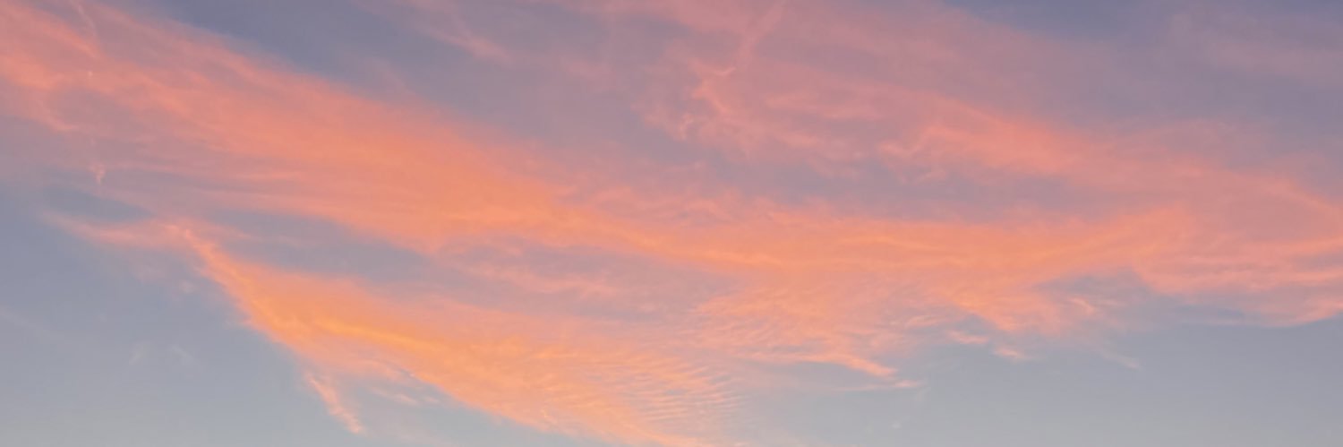 brittny_lysett's profile banner image
