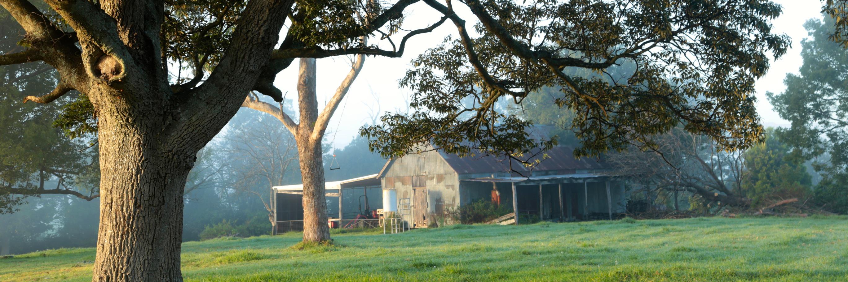 Kate Dezarnaulds banner