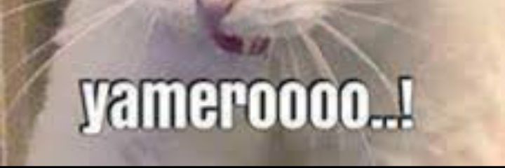 crawlingespasol's profile banner image