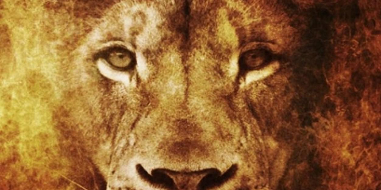 jaypi1008's profile banner image