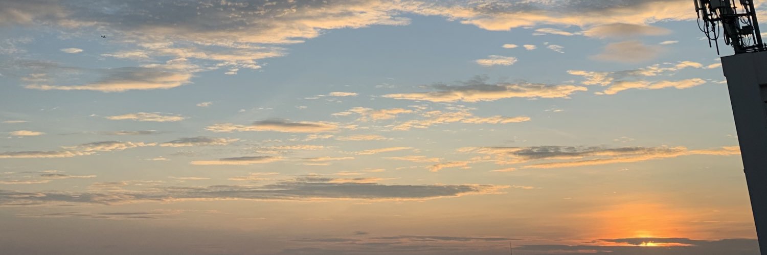 N. ♡ banner
