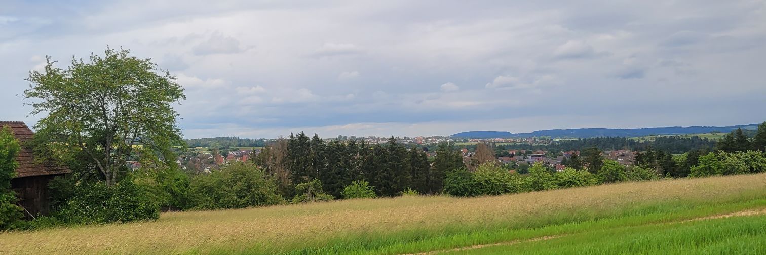 bzo840's profile banner image