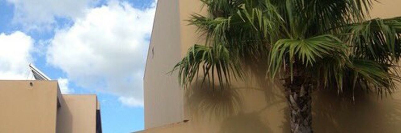 hesitantsandra's profile banner image