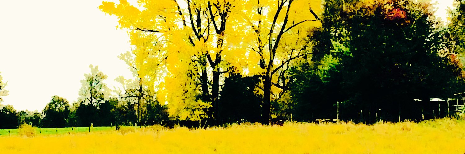 Alfred_VZ's profile banner image