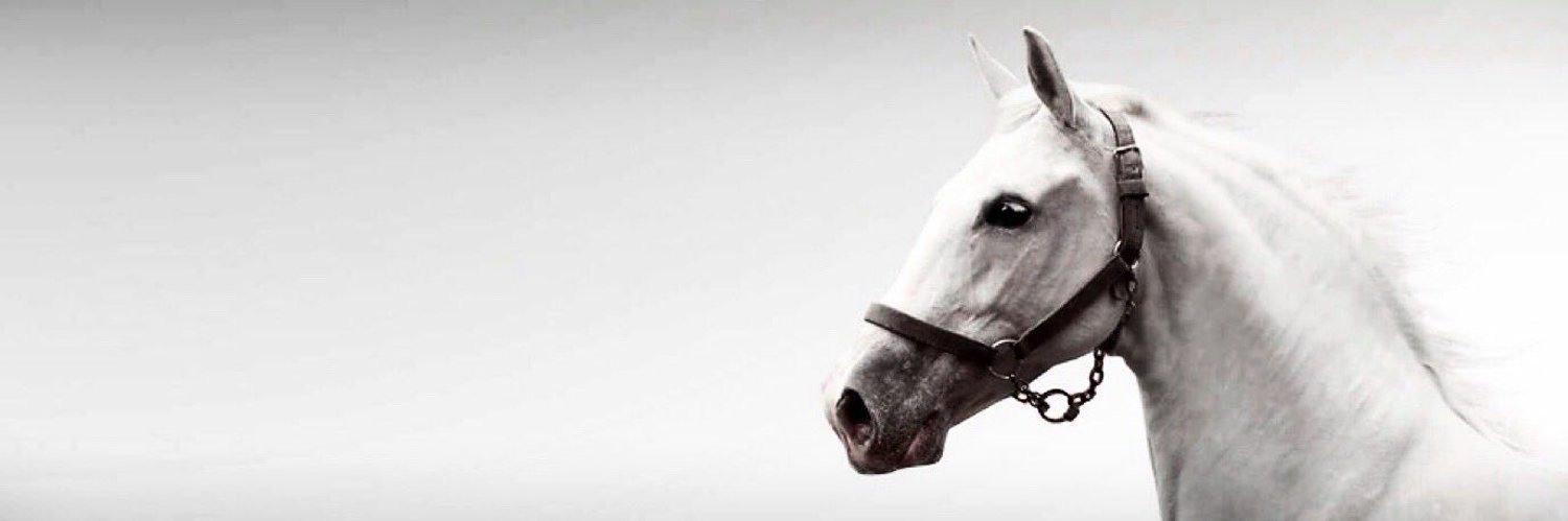 llsehamra's profile banner image