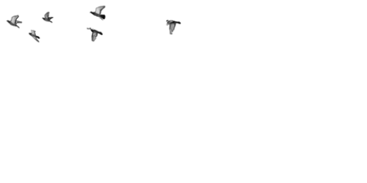 mahonewhgdr's profile banner image