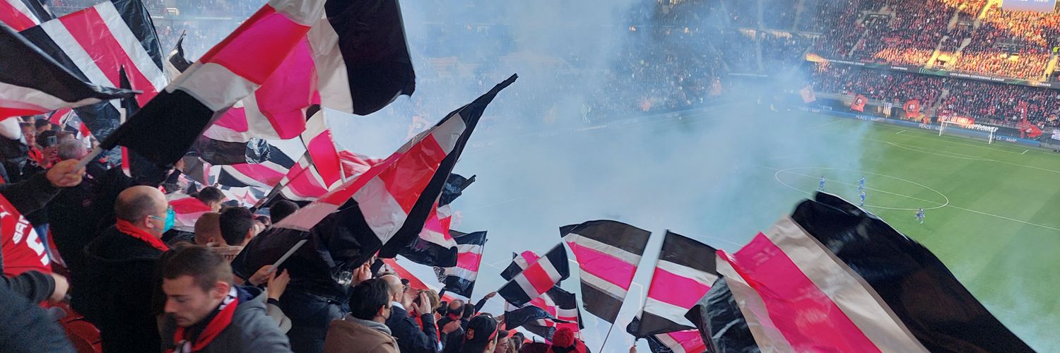 roazhoninho banner