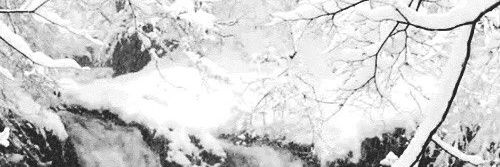 VibrantDesire's profile banner image