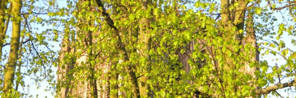 peterdyke49 Profile Banner