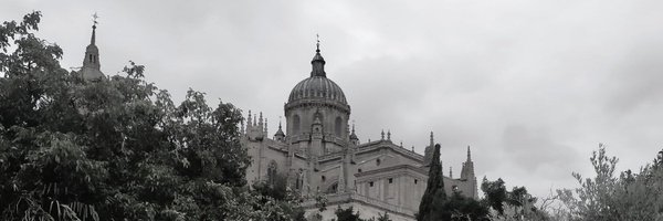 fjaviercp14 Profile Banner