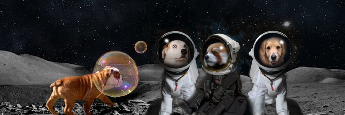 maesterr's profile banner image