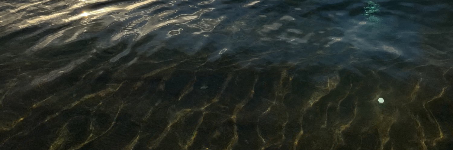 Courtney McLean banner