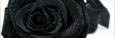 Sybile78's profile banner image