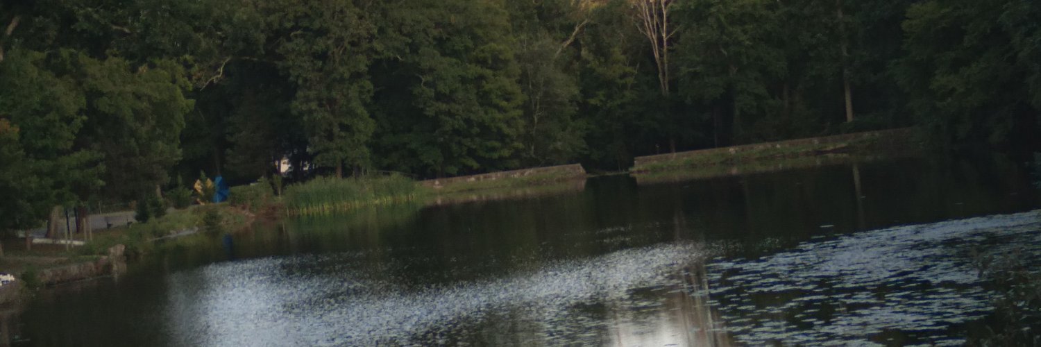 patra5's profile banner image