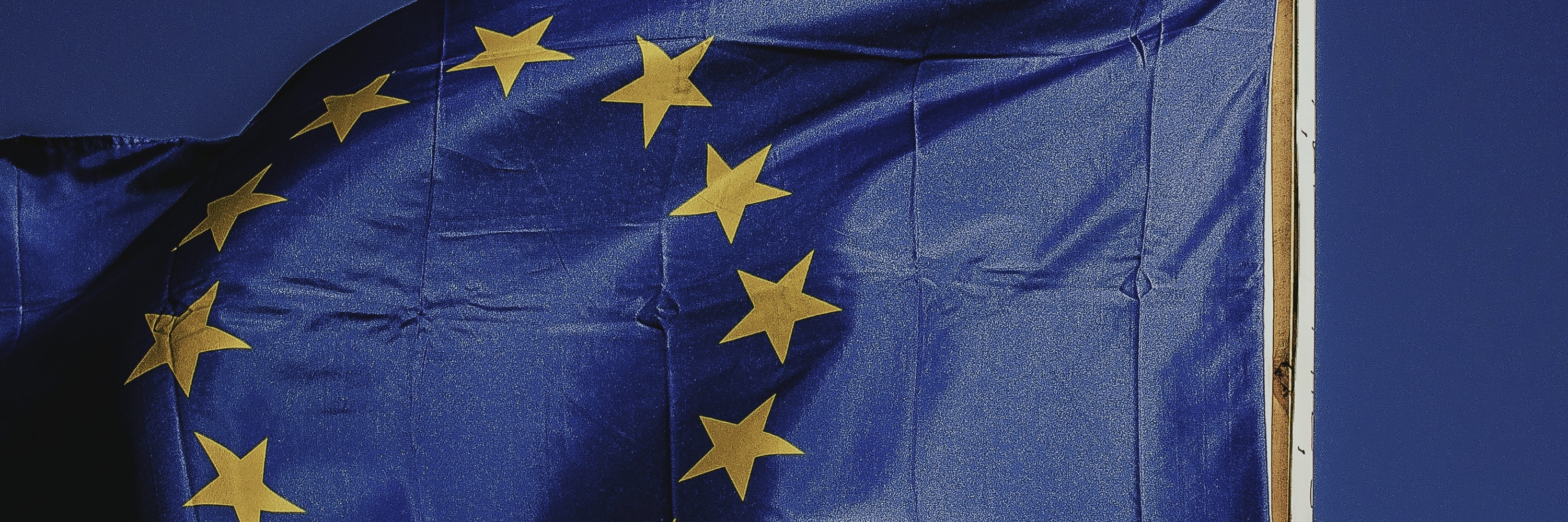 Maik Neubauer banner