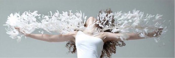 sar_d0 Profile Banner