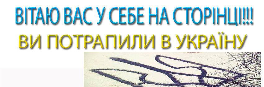 Люте Каченя's banner