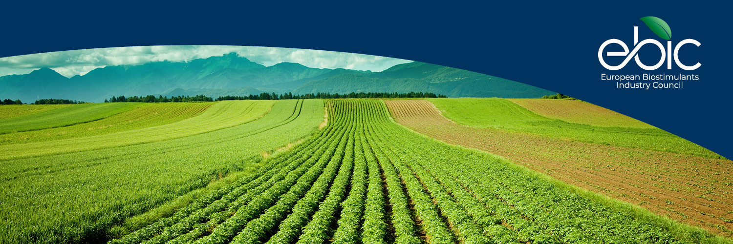 biostimulantsEU's profile banner image