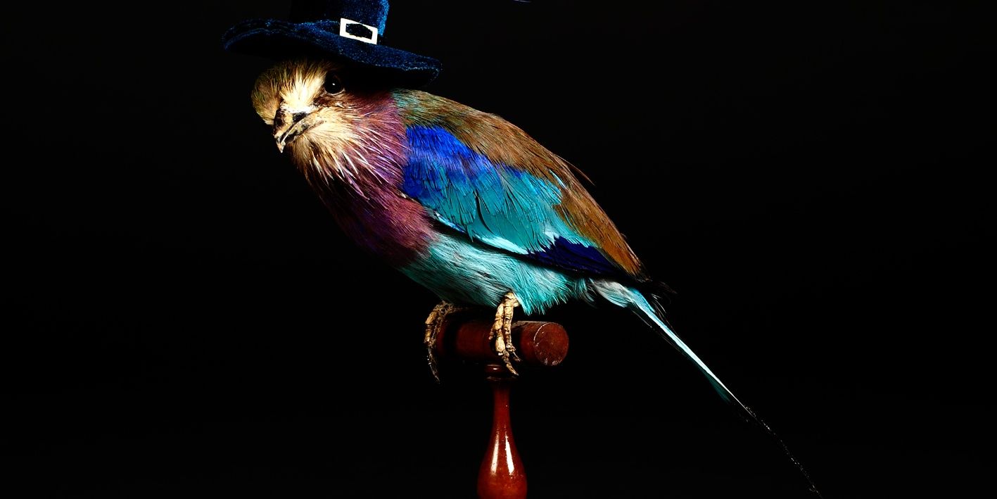 delcetz's profile banner image