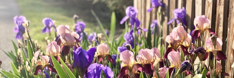 JennDish419's profile banner image