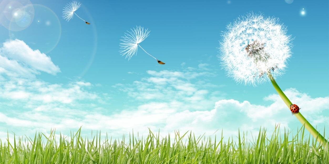 cady_lin's profile banner image