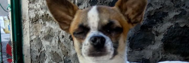 TaelskyDavid's profile banner image