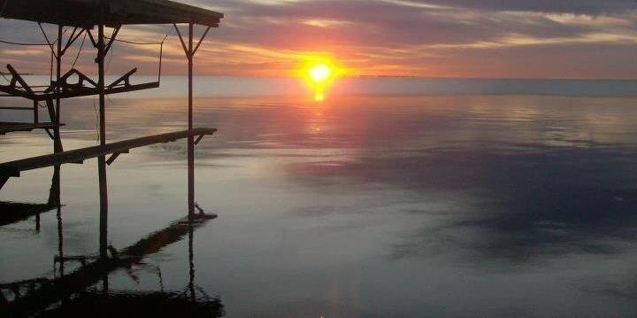 Defeat MSA Alliance banner