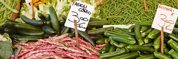 Stirred_Travel Profile Banner