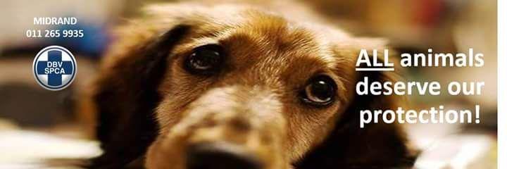 MidrandSPCA's profile banner image