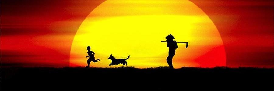 HarunHoca58's profile banner image