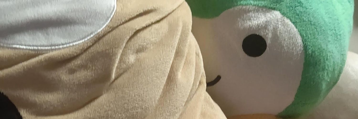 nobumapi's profile banner image