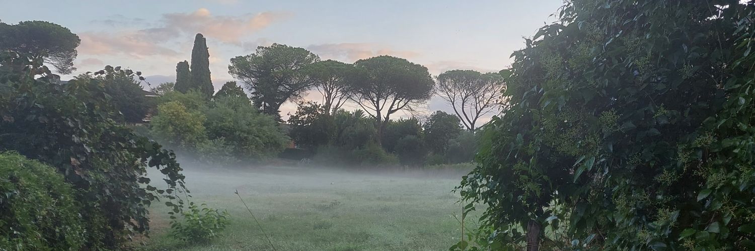 ritapasku's profile banner image