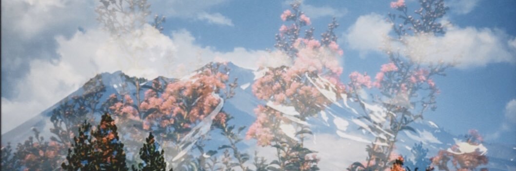 gecgnome444's profile banner image