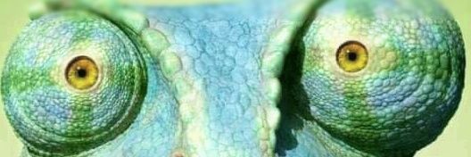 detalentedhero's profile banner image