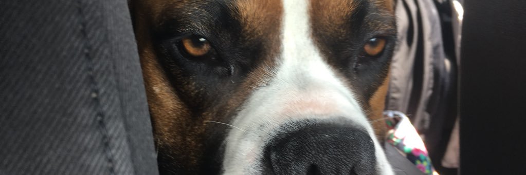DevinJoseph14's profile banner image