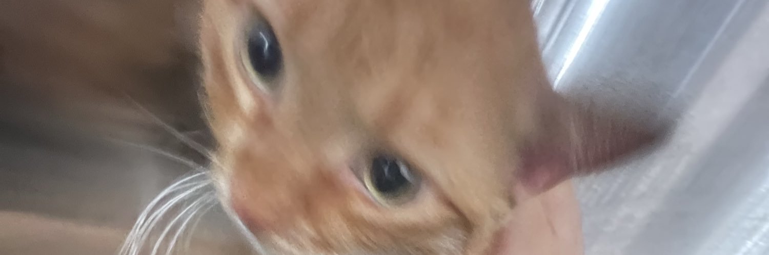 oFrankiie's profile banner image