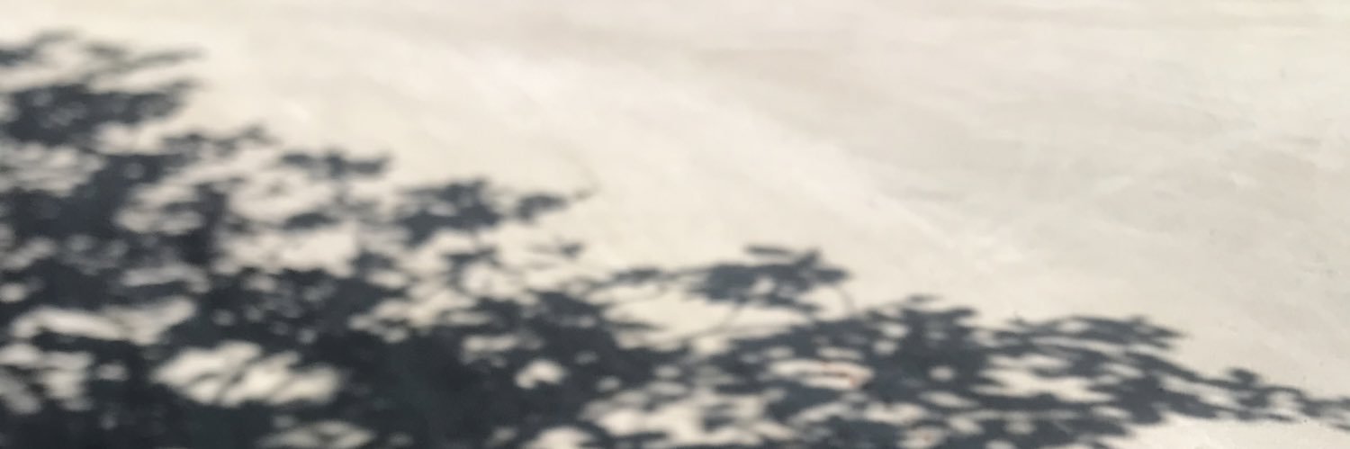 popamsw's profile banner image