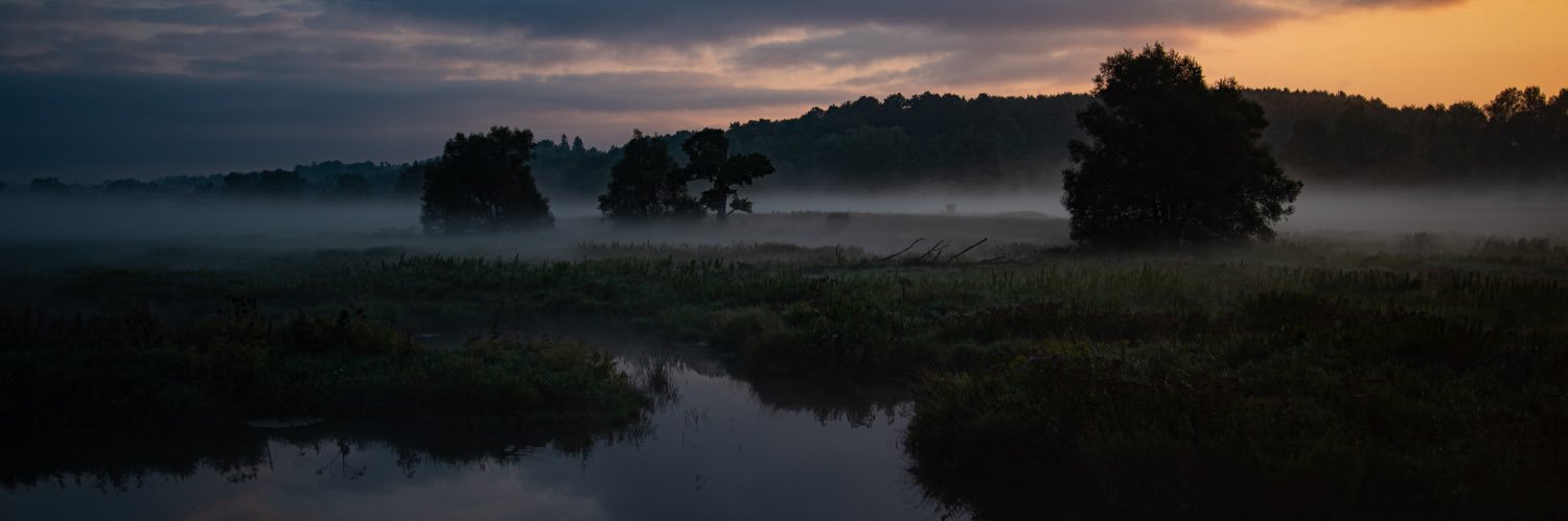 Dan_Webz's profile banner image