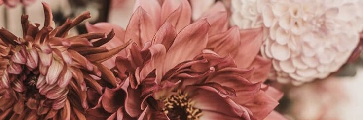 carriebethdavis's profile banner image